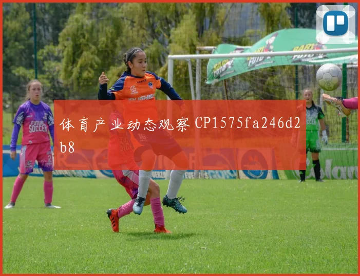 体育产业动态观察 CP1575fa246d2b8